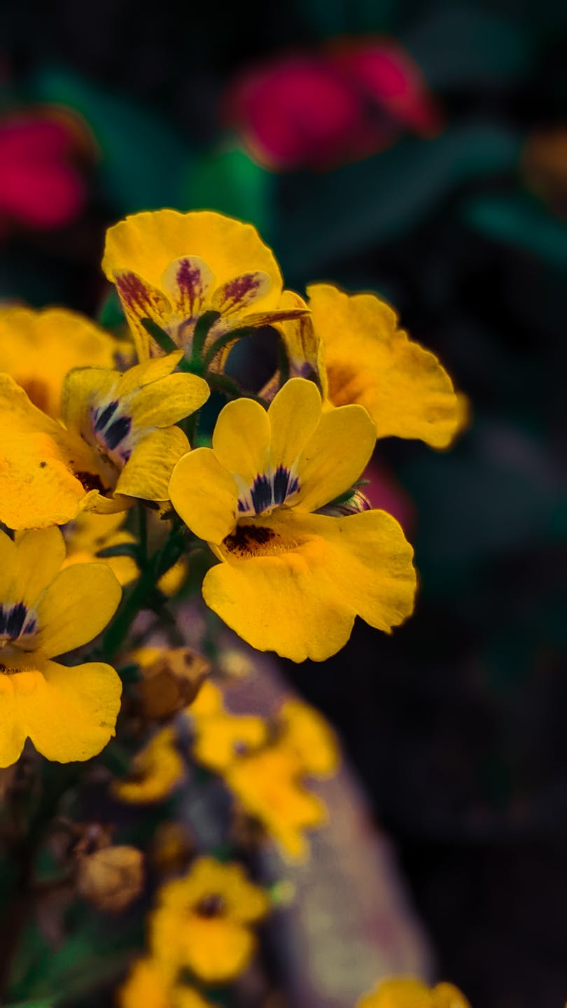 Banjir Aceh dan Badai Kritik: Kala Gubernur Disebut 'Cengeng' dan Desakan Mundur Menggema!