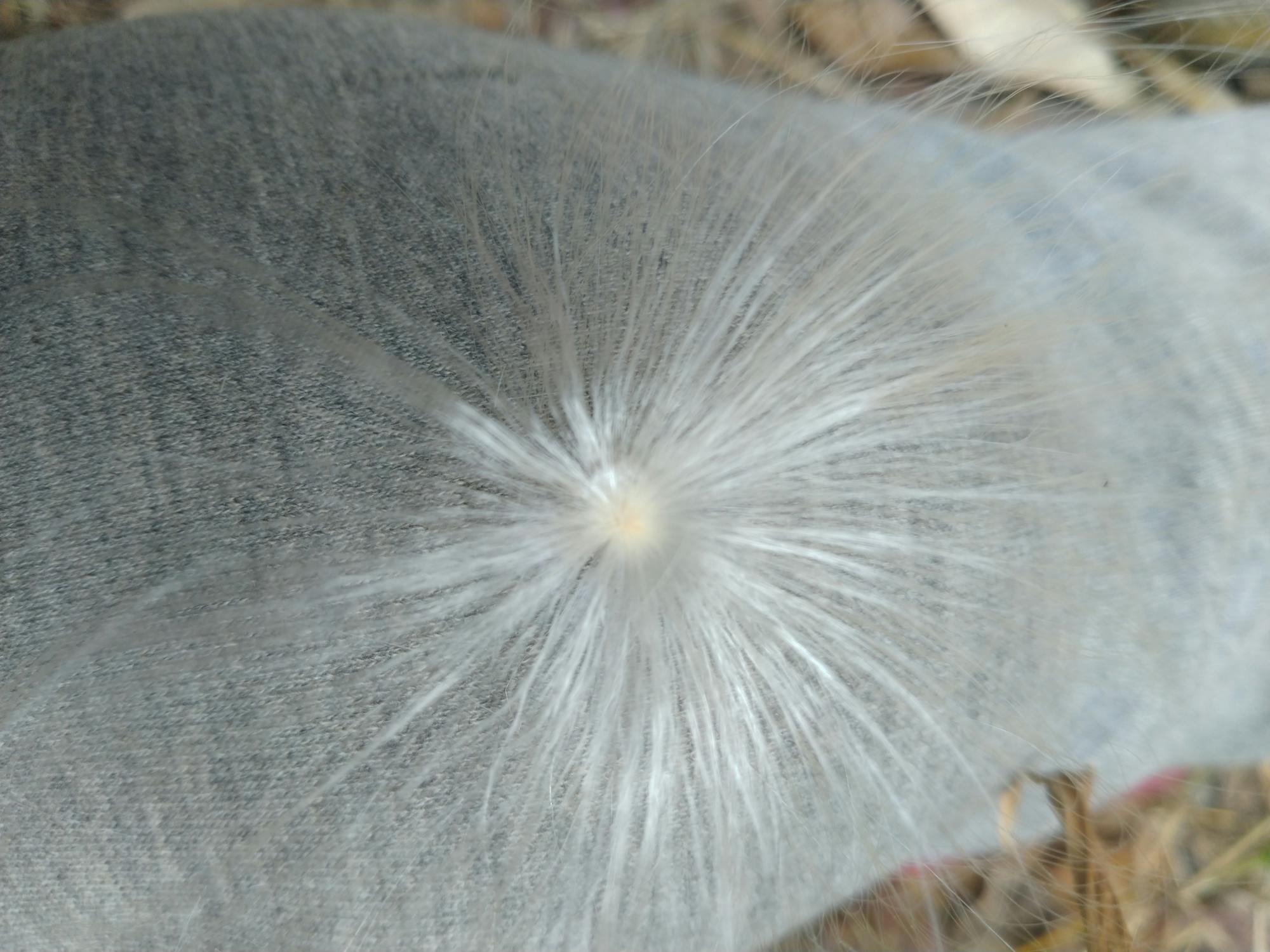 Google Nano Banana Pro: Revolusi Visual dan Seni Digital di Ujung Jari Anda!