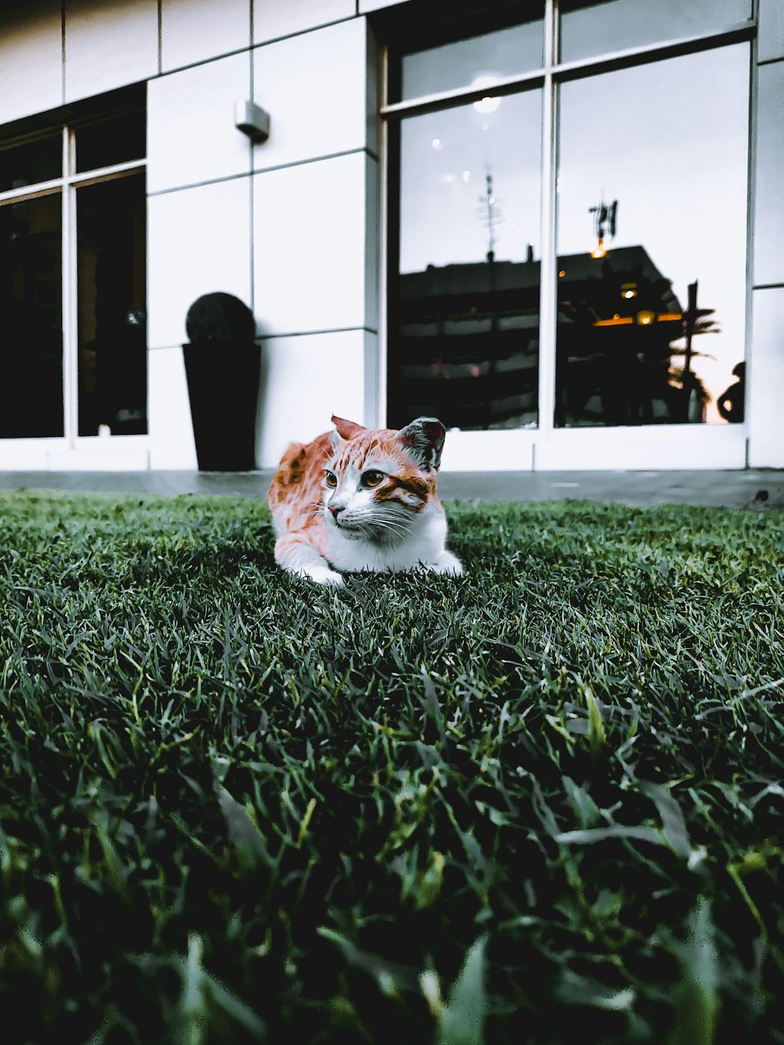 Dompet Dhuafa Gerak Cepat: Titik Harapan Baru di Tengah Bencana Sumatra!