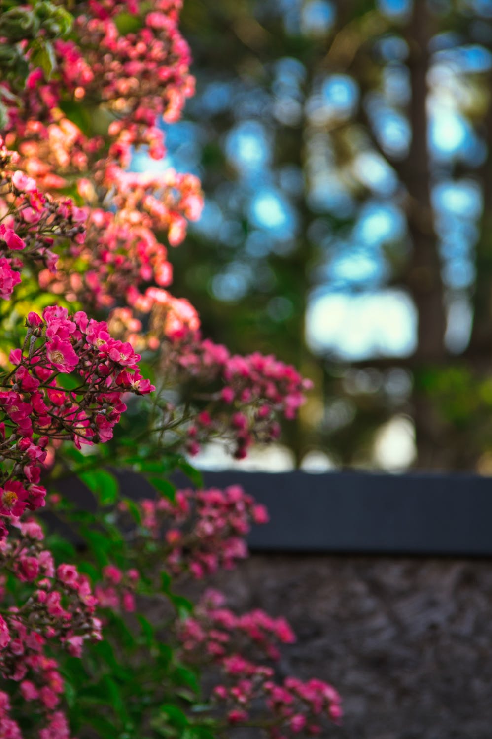 Bangkit dari Kerusakan Viral: Hyatt Chicago Kembali Membuka Pintu Setelah Protes Gen Z yang Menggemparkan