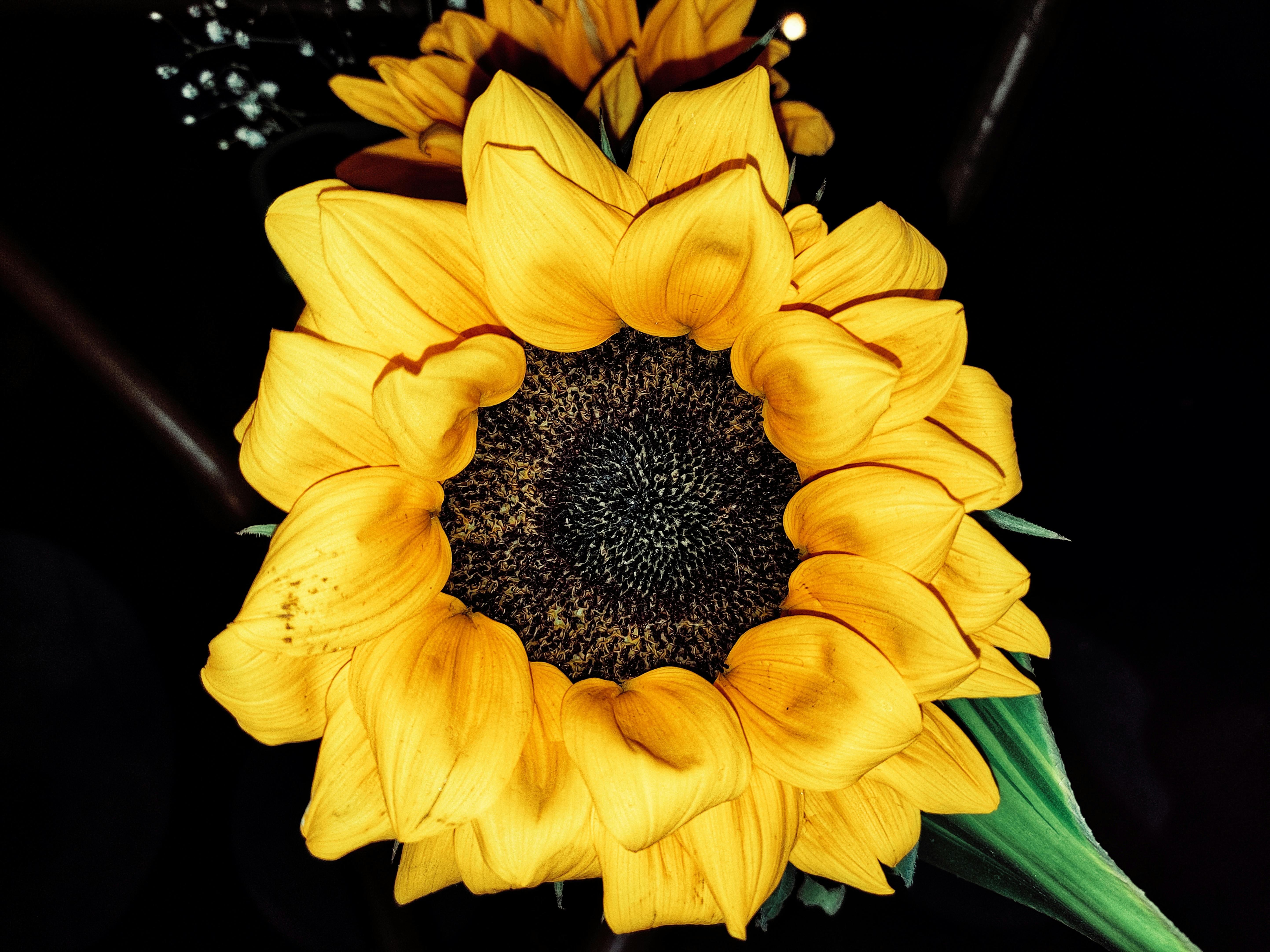 Taruhan Tanpa Batas, Kemenangan Maksimal: JACKBIT Pimpin Revolusi Kasino Online untuk High Roller di 2025