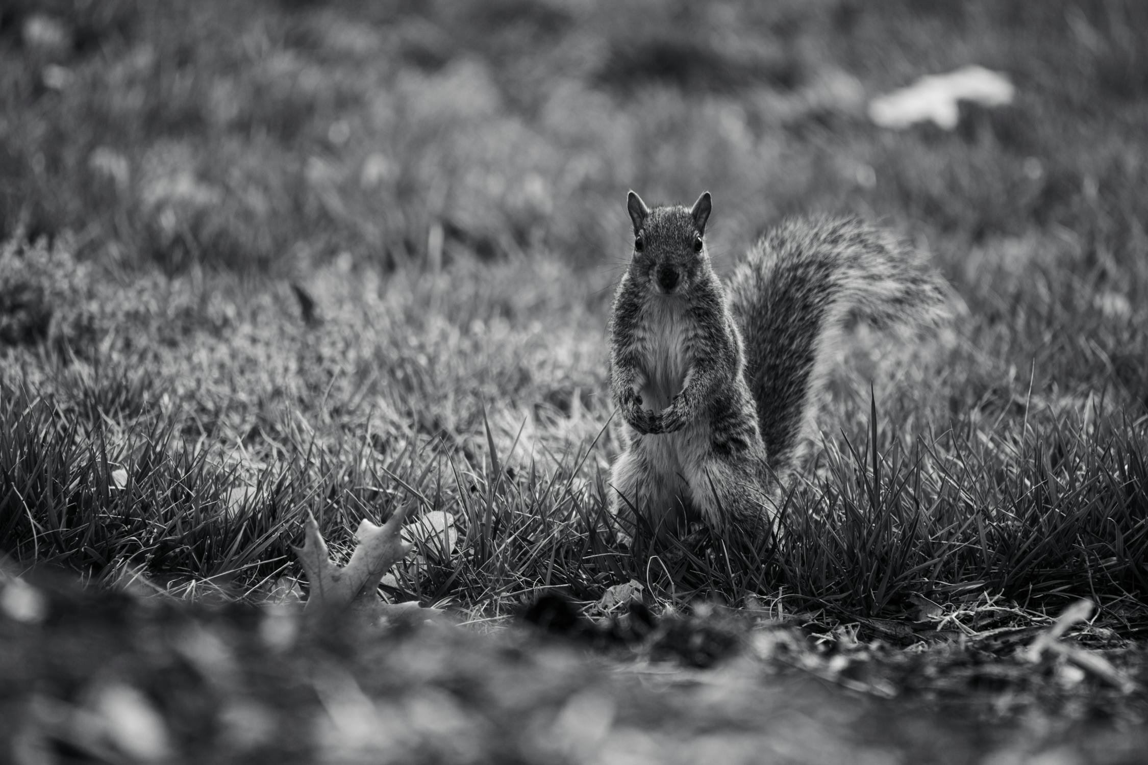 Kabar Baik bagi Calon Jemaah Haji 2024: Pemerintah Perpanjang Batas Waktu Pelunasan Biaya Haji di Tengah Banjir Sumatera