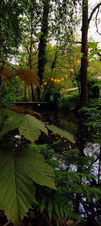 Black Friday 2025: Mengapa Sony WH-1000XM4 Diprediksi Jadi Buruan Headphone Noise-Cancelling Terbaik?