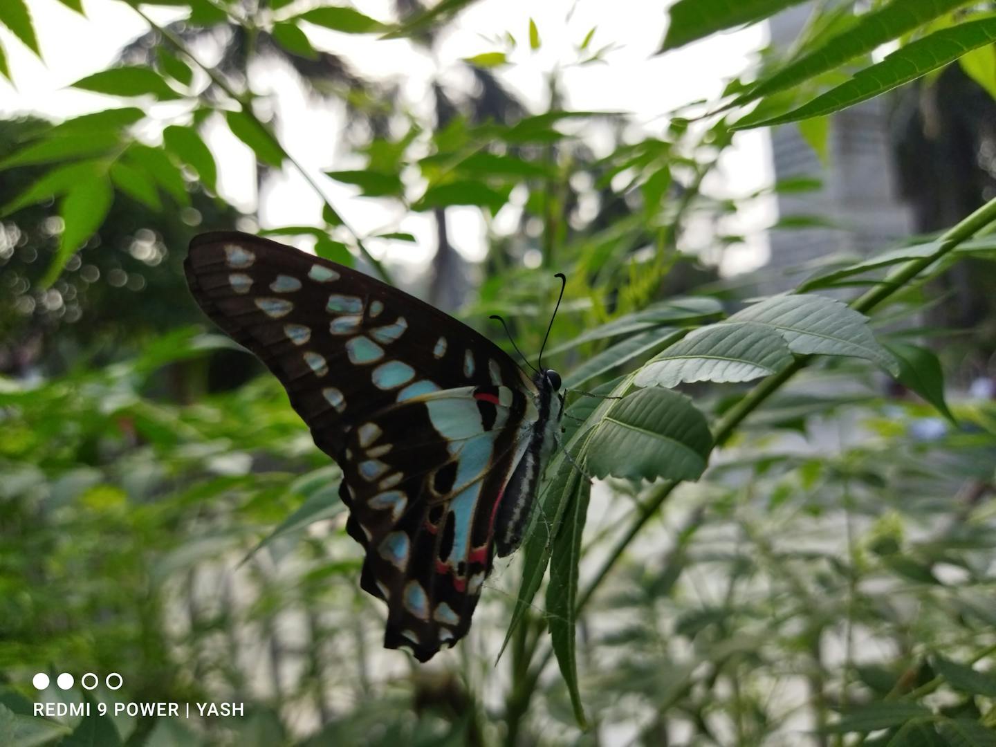 Badai Merek Trump: Bagaimana Kontroversi Politik Mengikis Imperium Bisnisnya