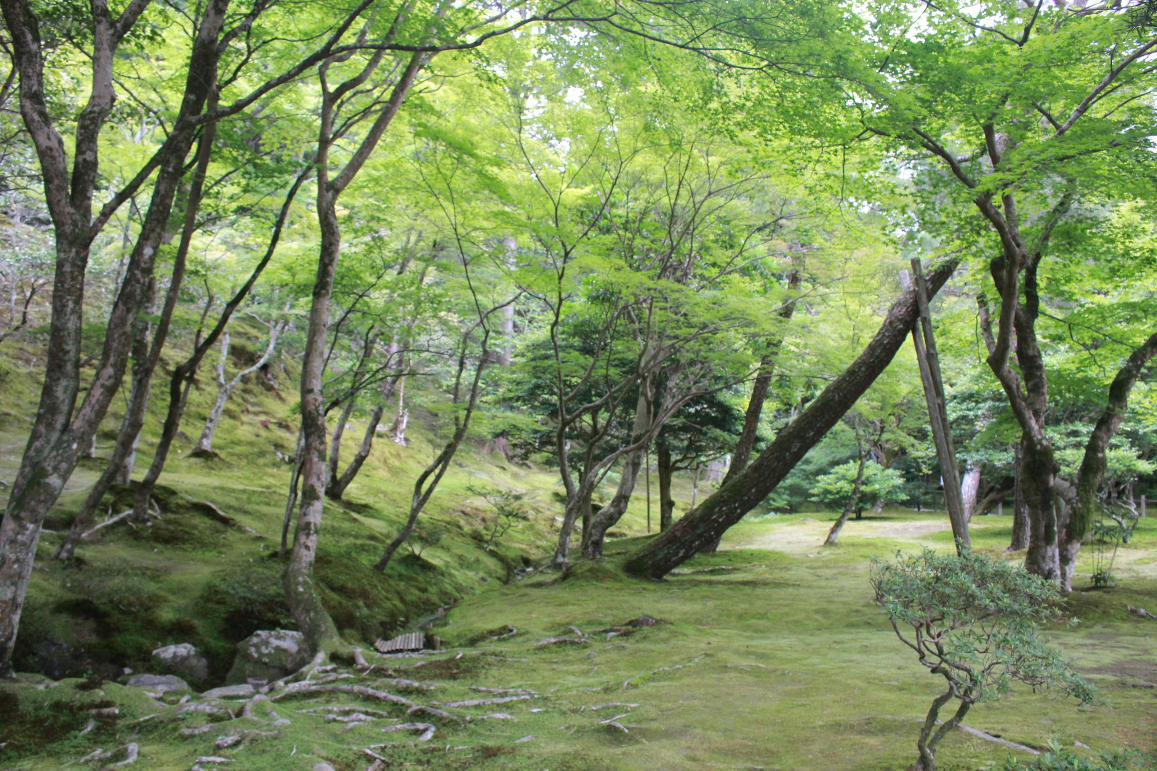 Longsor Cilacap: Kapolda Jateng Desak Optimalisasi Penanganan, Mengapa Ini Krusial untuk Kita Semua?