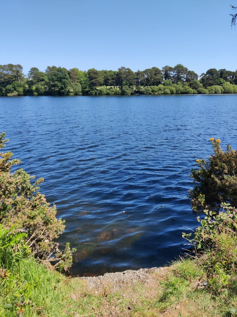 Mega Proyek Jet Tempur Eropa Terancam Bubar? Intip Drama di Balik FCAS!