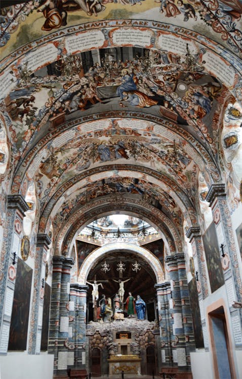 Analisis Mendalam: Mengapa Argus Research Tetap Optimis Terhadap Saham The Mosaic Company (MOS) di Tengah Badai Ekonomi Global?