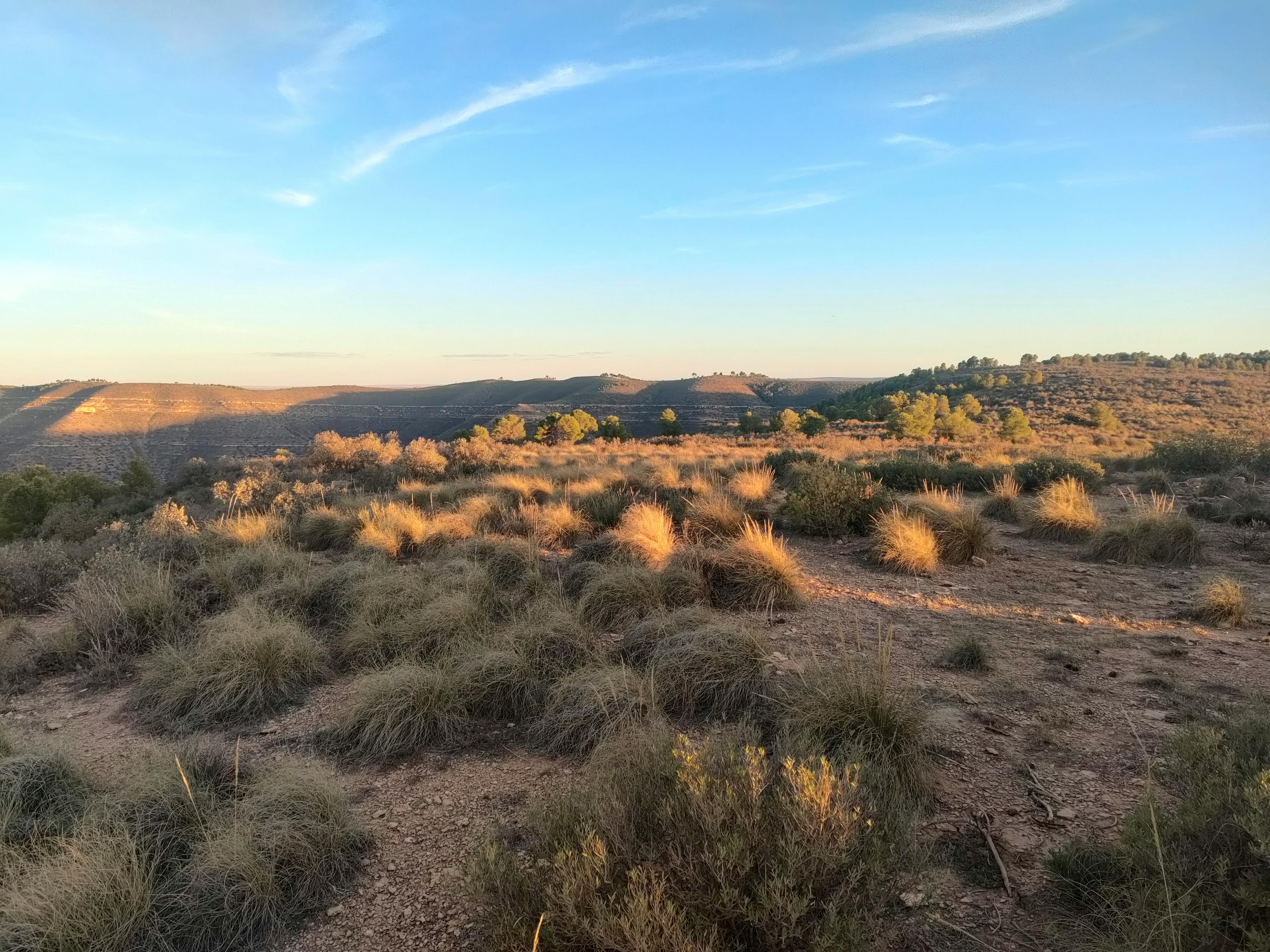 Revolusi Pengawasan Proyek! Dedi Mulyadi Gandeng Mahasiswa Teknik Sipil, Inikah Solusi Anti-Korupsi?