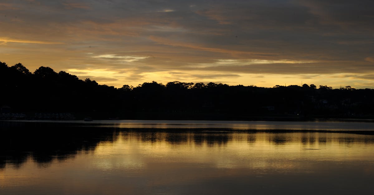 Perdebatan Sengit di Jantung Bihar: Strategi NDA, Kasta, dan Pembagian Kekuasaan untuk Masa Depan