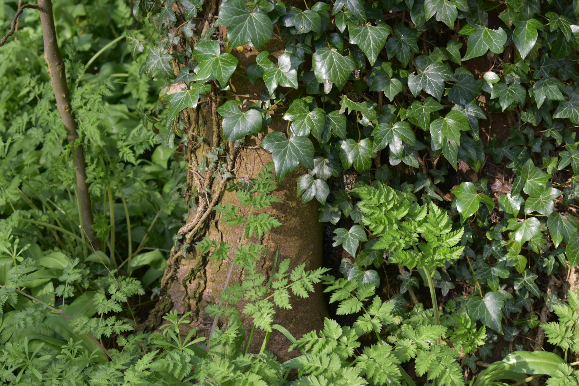 Momen Kripto Paling Sensasional Tahun Ini: Kilas Balik yang Mengguncang Dunia Digital!