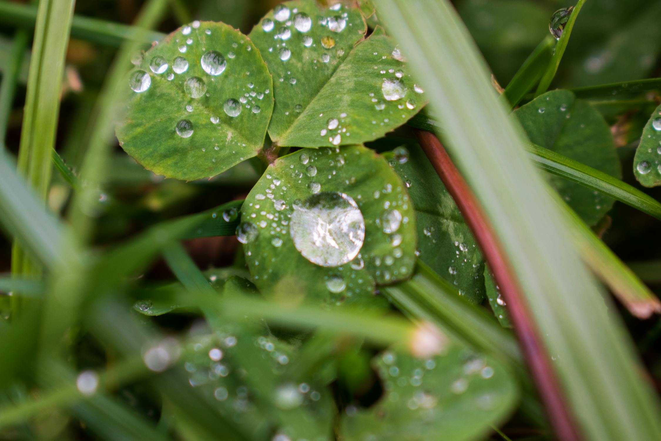 Alarm untuk Altcoin? Jump Crypto Diduga Pindahkan Miliaran Dolar dari Solana (SOL) ke Bitcoin (BTC): Apa Artinya untuk Pasar Kripto?