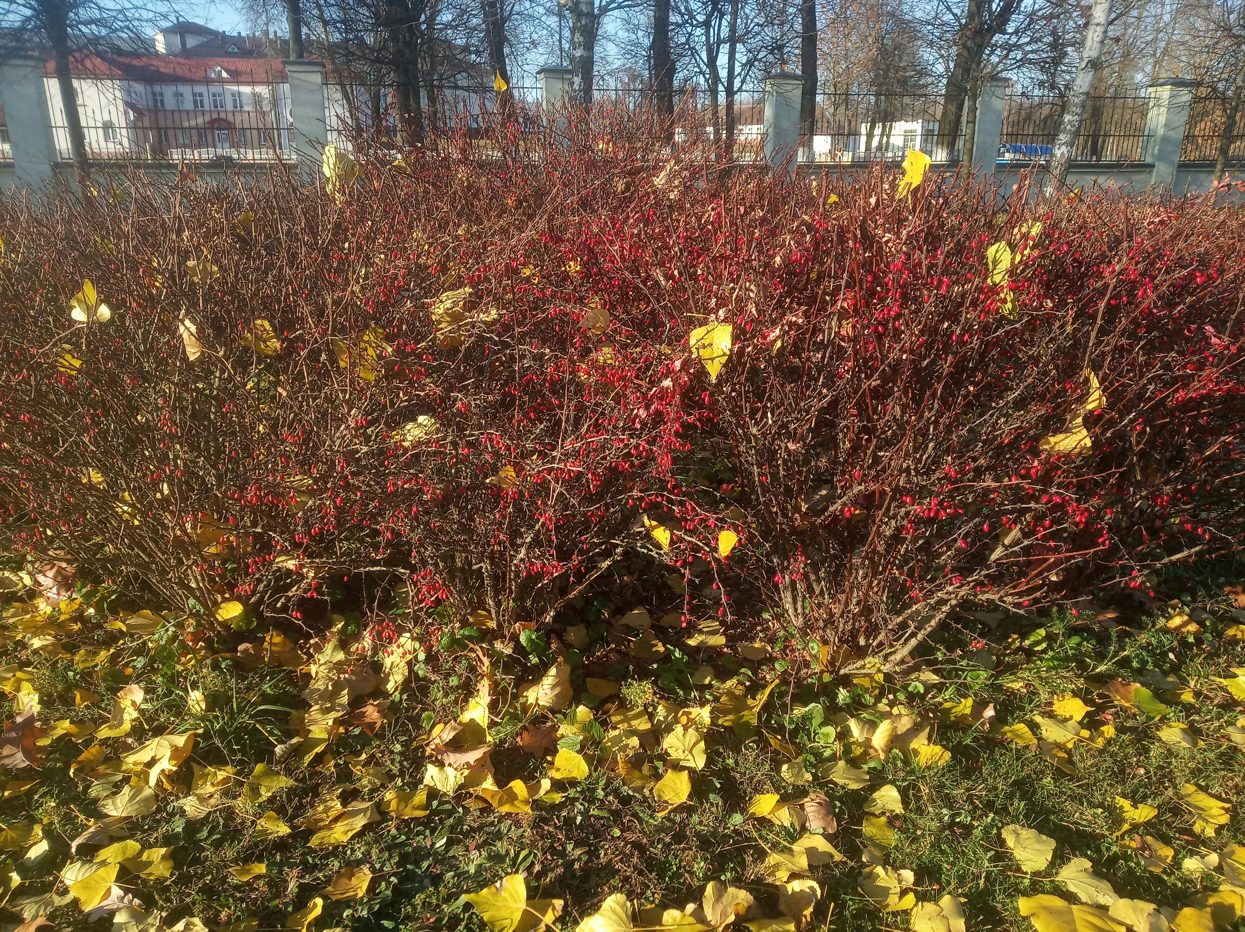 Dari Rote Ndao ke Kancah Dunia: PDIP Wujudkan Visi Geopolitik Bung Karno, Langkah Strategis atau Simbolis?