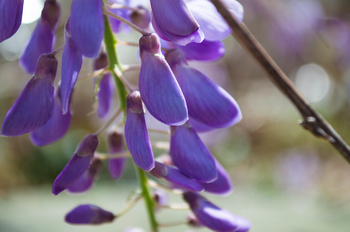 Geger RUU KUHAP! Koalisi Masyarakat Sipil Seret Anggota Panja ke MKD: Ada Apa dengan Etika Dewan?