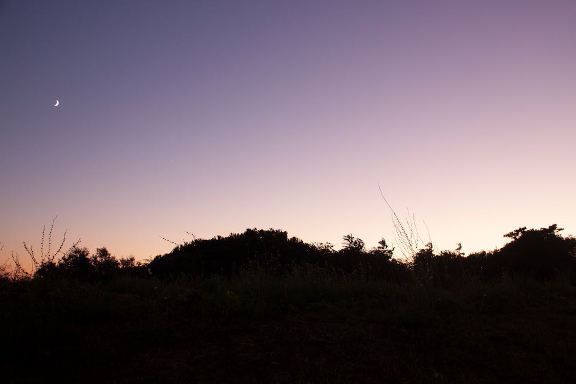 Terobosan Besar Kemensos: Program Desa Sejahtera Mandiri Siap Transformasi Seluruh Indonesia! Apa Saja Manfaatnya?