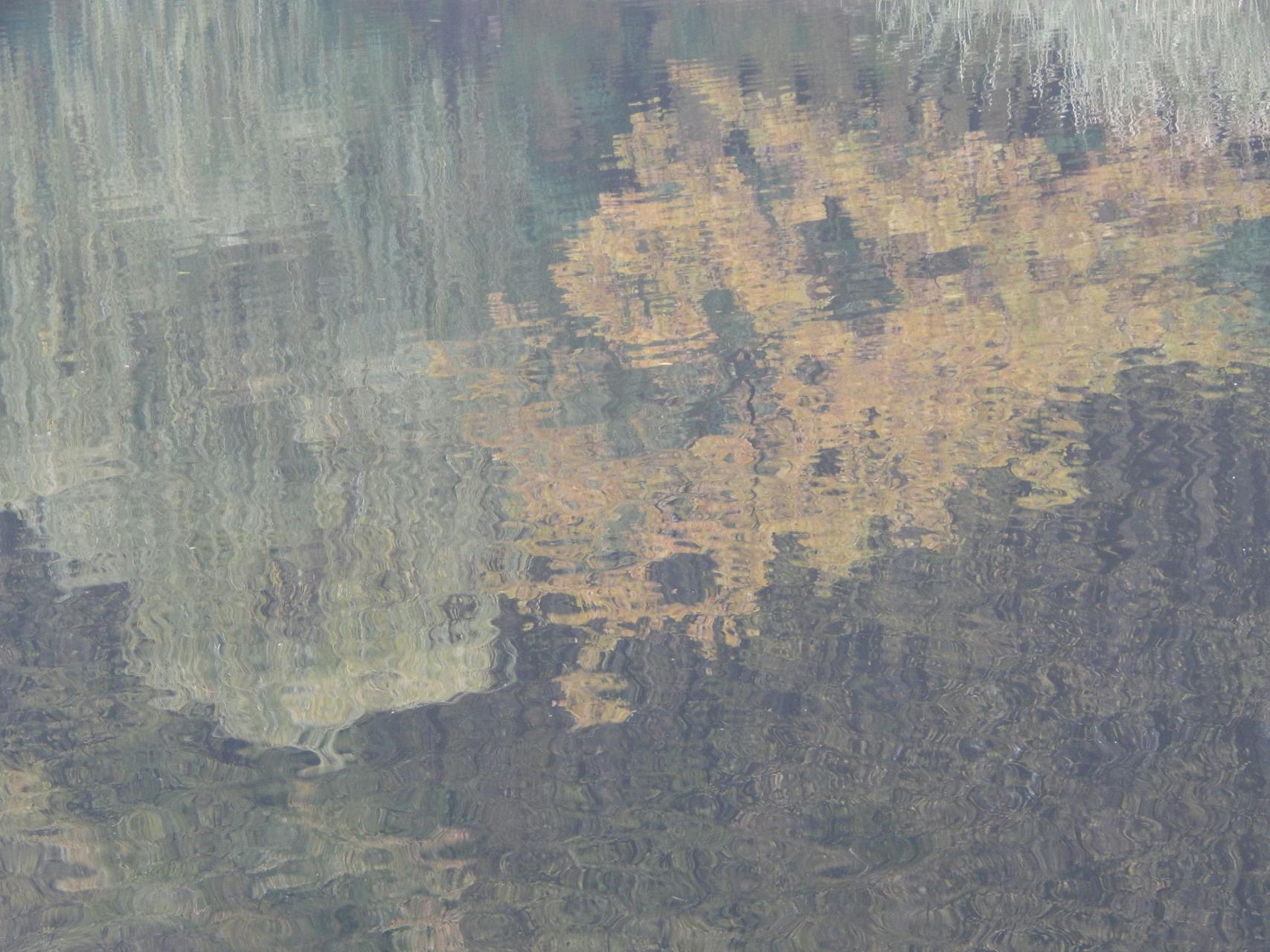 Warisan 100 Tahun Luxmi Tea: Bagaimana Rudra Chatterjee Meracik Revolusi Teh Ortodoks India untuk Dunia