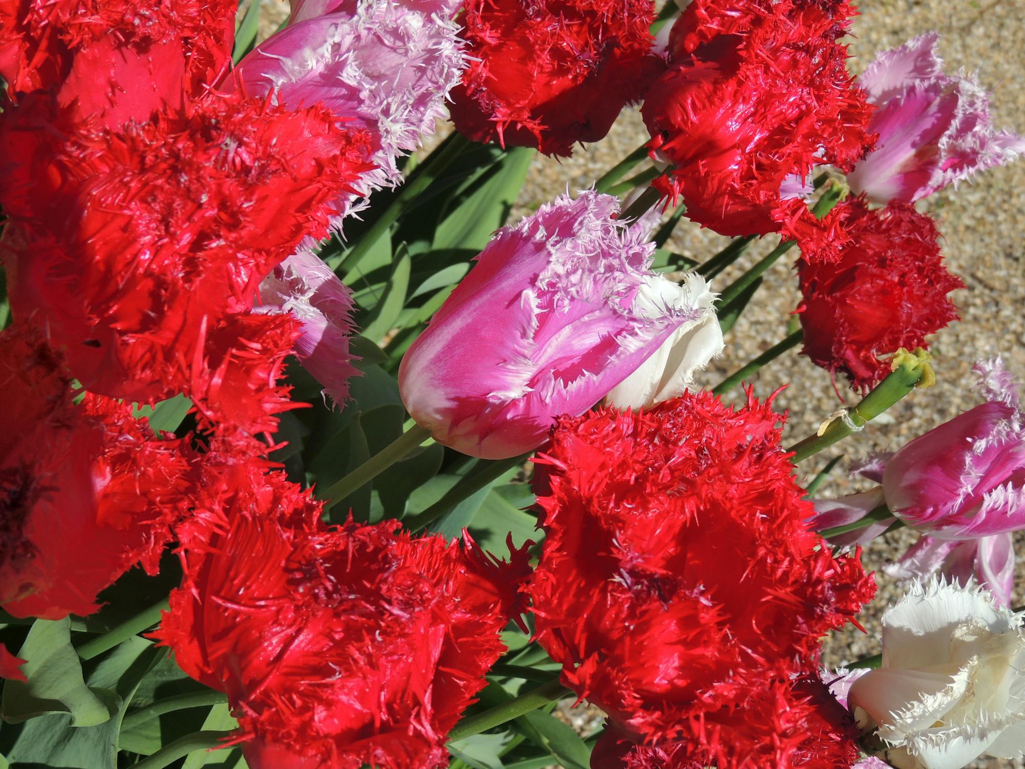 Jangan Panik! Anda Tidak Perlu Beli Satu Bitcoin Penuh untuk Memulai Investasi Kripto