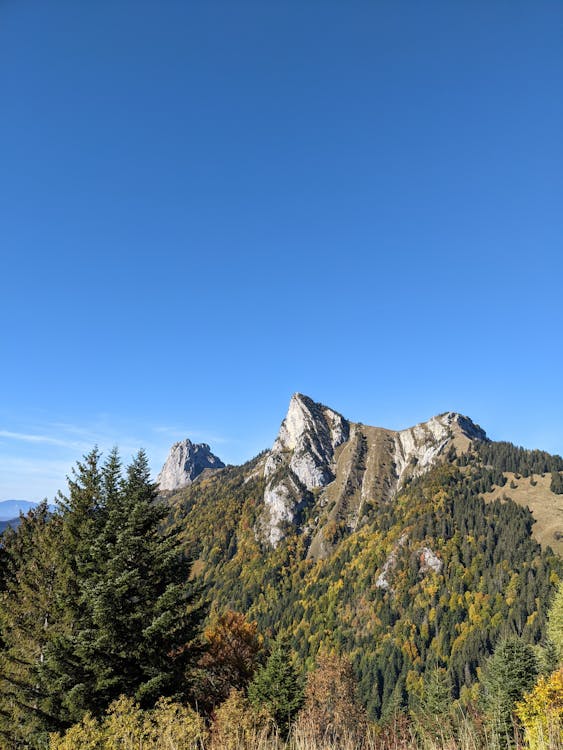 Rahasia Keabadian Magic: The Gathering – Intip 30 Tahun Inovasi Desain oleh Mark Rosewater