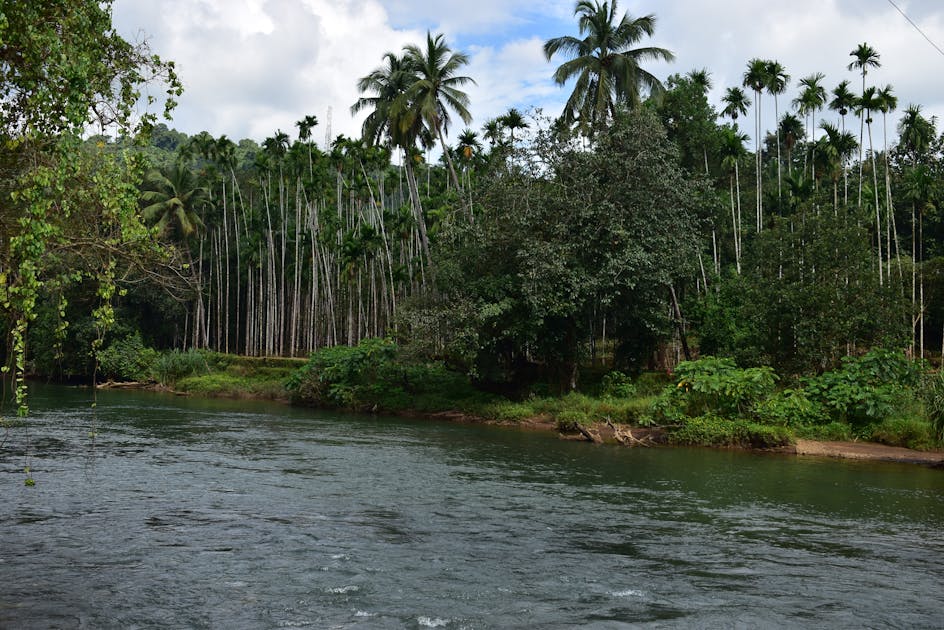 Batang Bersinar Terang: 11.000 PJU Cerdas, Solusi Hemat Miliaran & Kota Pintar Masa Depan!