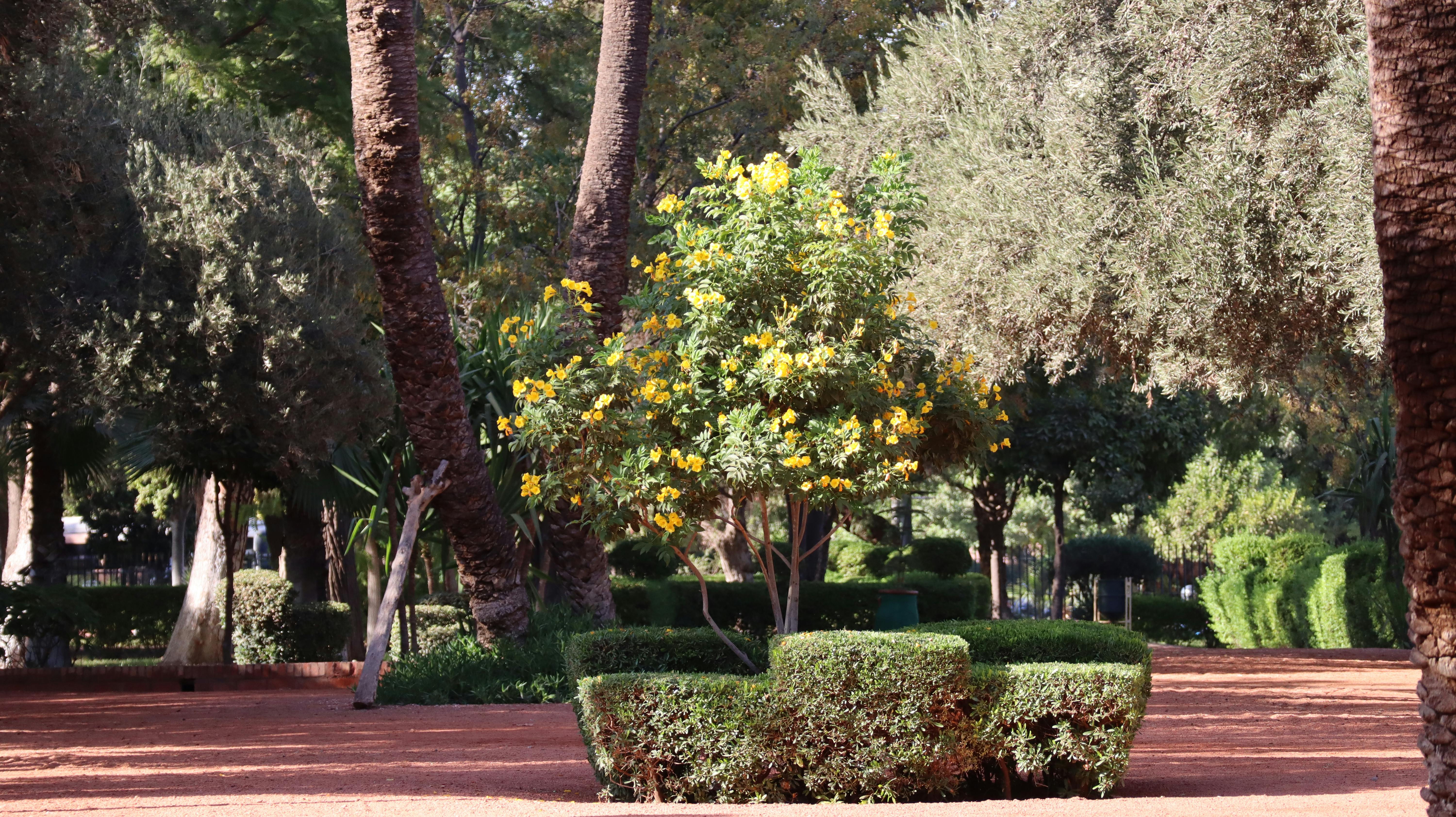 Revolusi Investasi Kripto: Fidelity Luncurkan ETF Staking Solana, Masa Depan Aset Digital Dimulai?