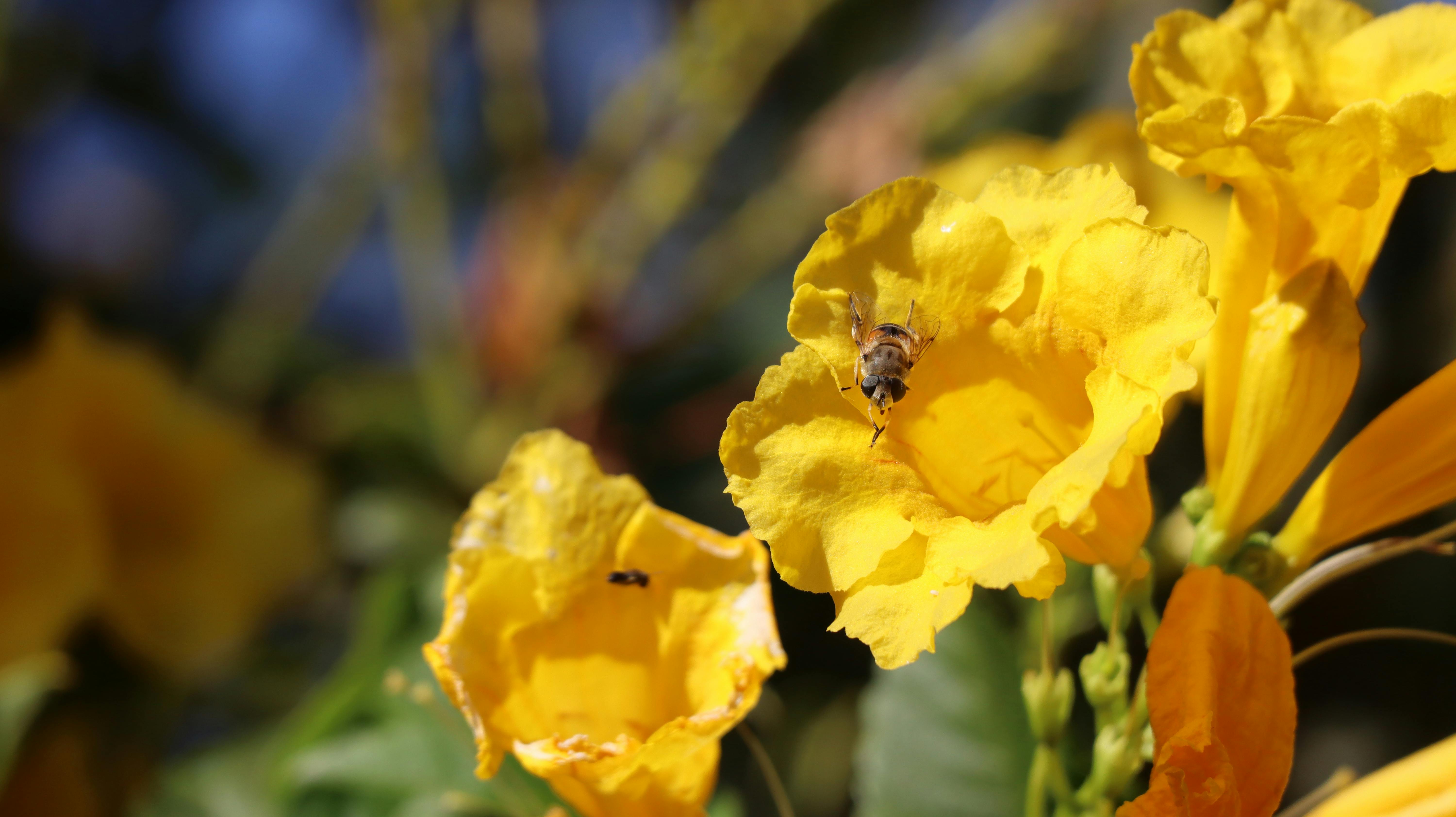 Banjir Sumatera Mendunia: Liga Muslim Dunia Ulurkan Tangan, Lebih Dari Sekadar Belasungkawa?