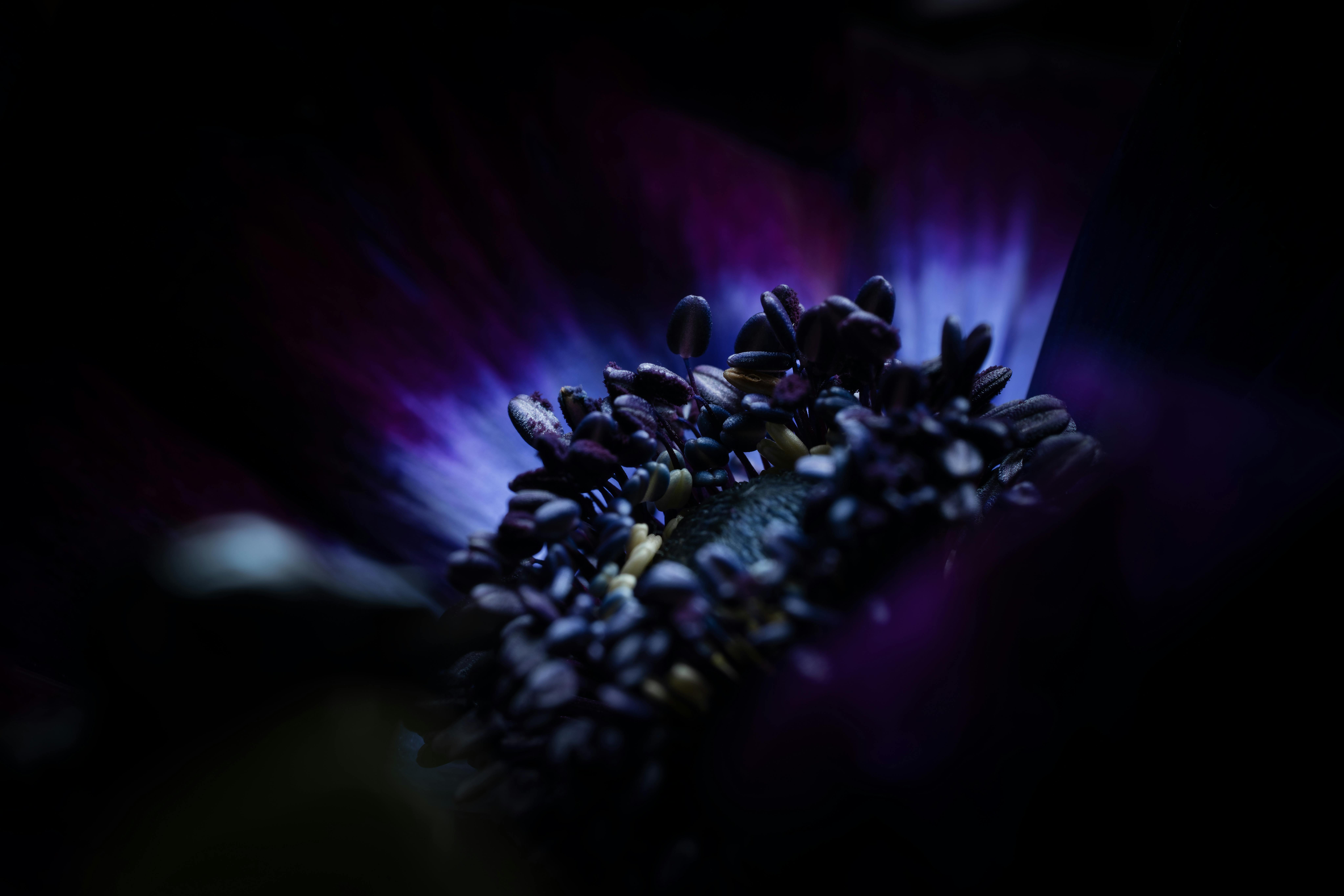 Duka di SMAN 72, Respons Cepat Prabowo: Janji Negara untuk Korban Ledakan