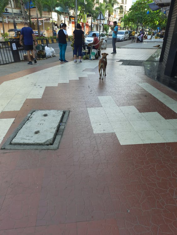 Sumpah Pemuda dan Gema Gus Ipul: Membangkitkan Jiwa Muda untuk Indonesia Emas 2045