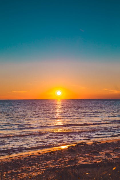 Bogor Beraksi! DPRD Dukung Wujudkan 30% Ruang Terbuka Hijau: Kunci Kota Sehat dan Berkelanjutan