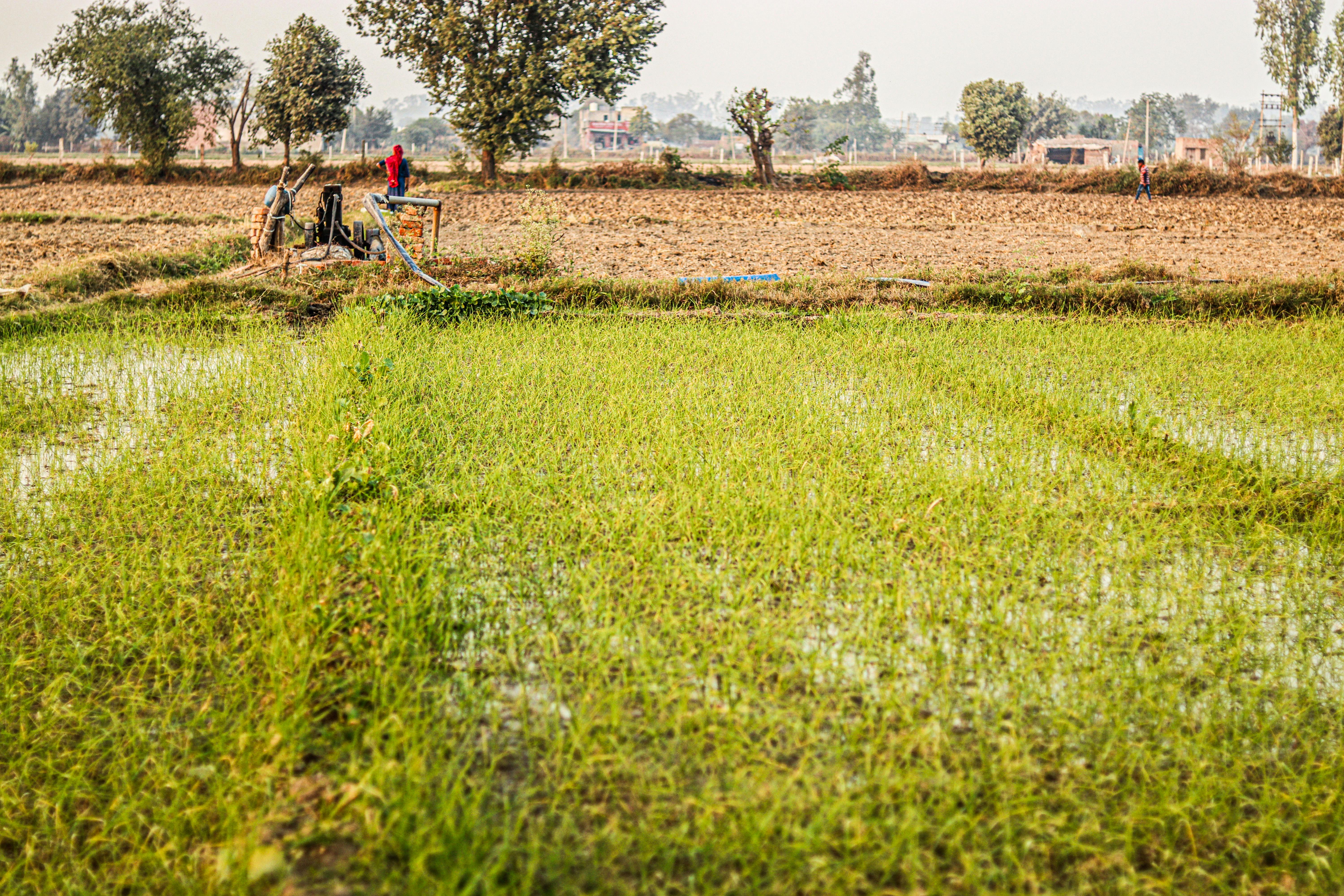 Terungkap! Rahasia DKI Jakarta Raih Predikat Terbaik di Indonesia's SDGs Action Awards 2025 – Inspirasi Pembangunan Berkelanjutan!