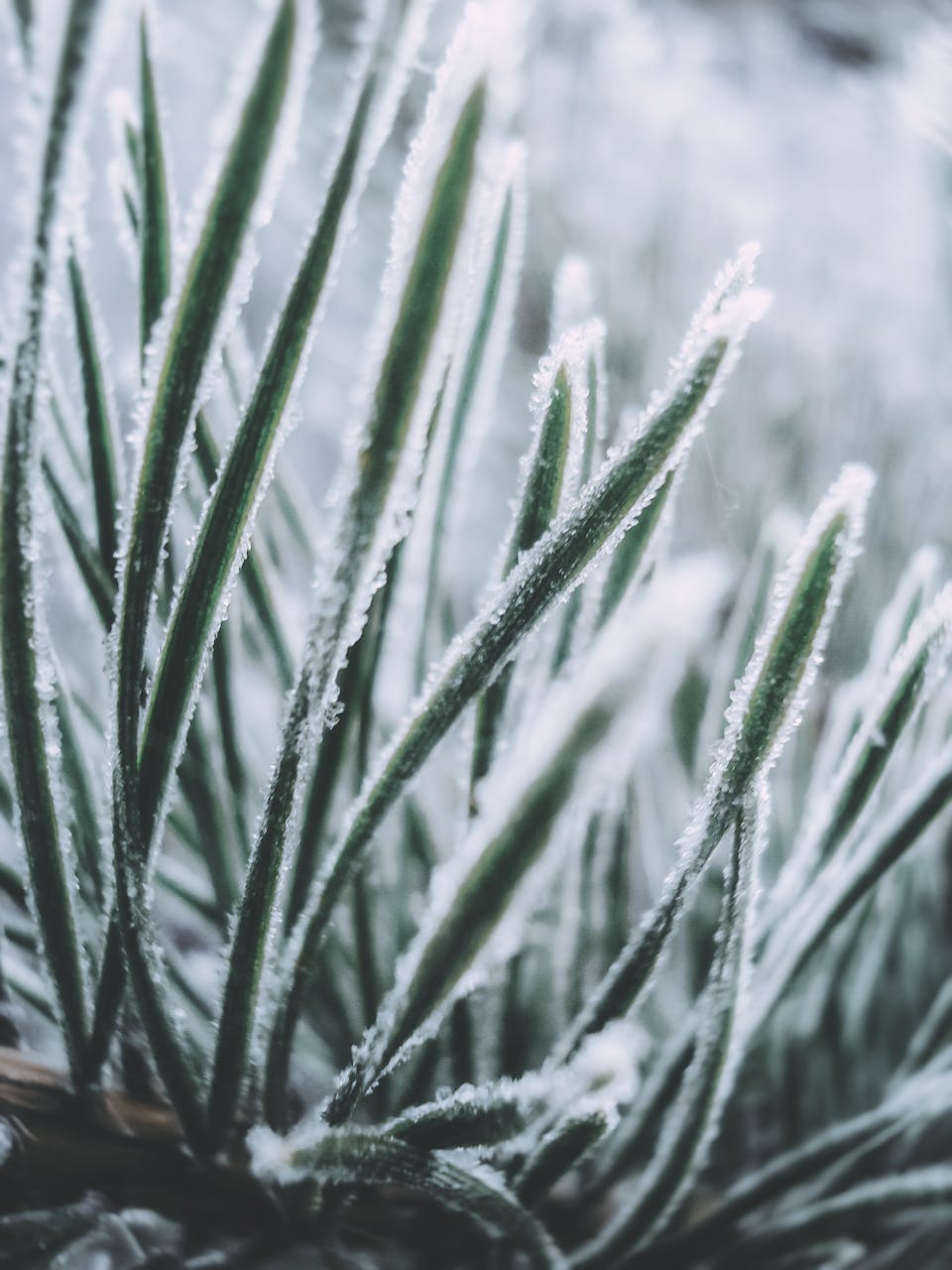 Revolusi Kesiapsiagaan Bencana Dimulai dari Bandung Barat: Mengintip Terobosan Kemensos!