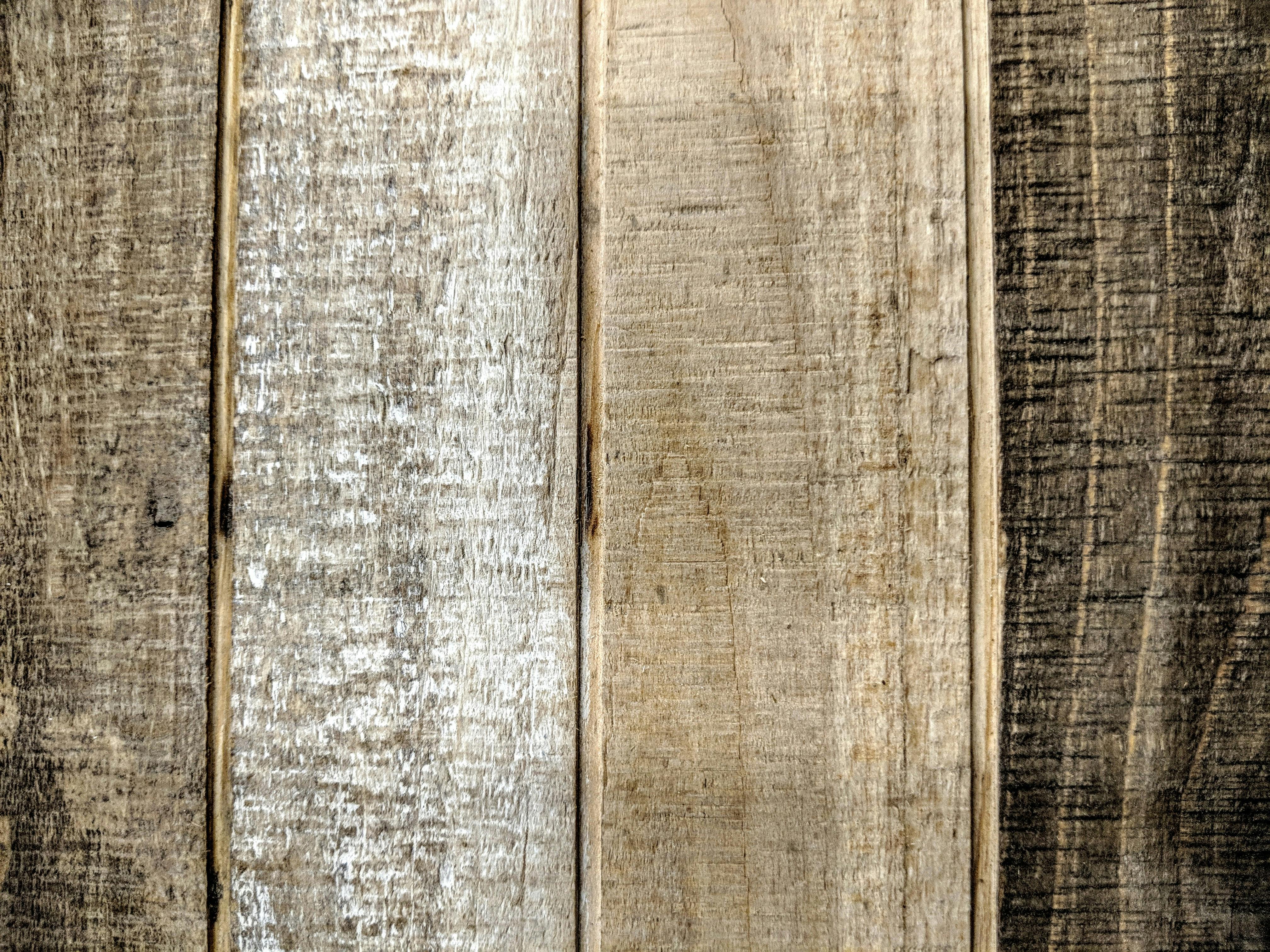 Pokémon Pokopia: Melampaui Batas! Gameplay Ala Animal Crossing Berpadu Misteri Pikachu Pucat dan Snorlax Berlumut!