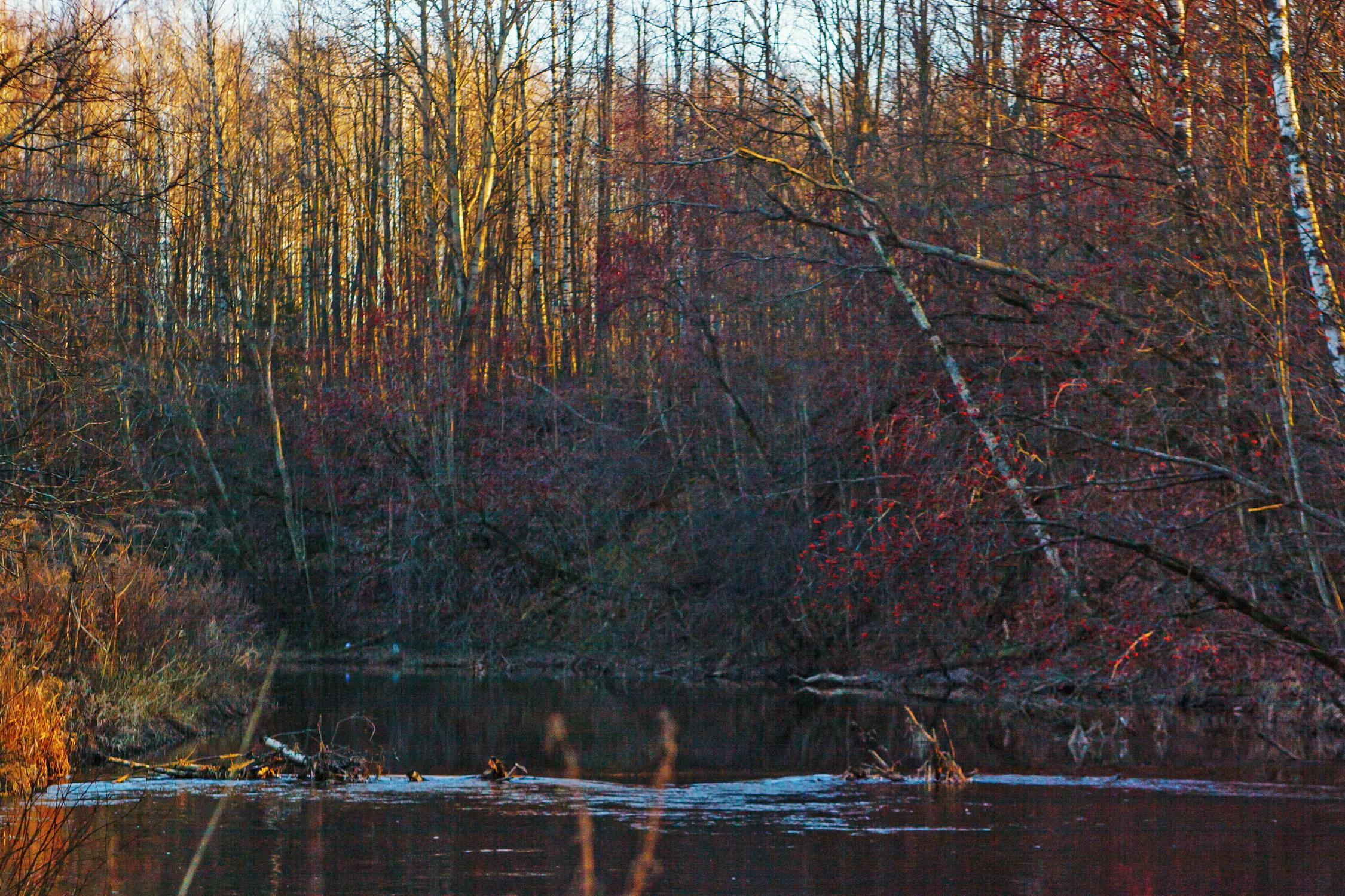 Judi Politik Sunak: Inggris Memilih di Tengah Badai Ketidakpastian – Pemilu 4 Juli!