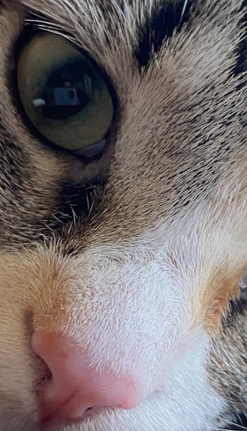 Alarm Lingkungan Berbunyi di Sumatera: Saatnya Pemerintah Evaluasi Total Kebijakan Kita!