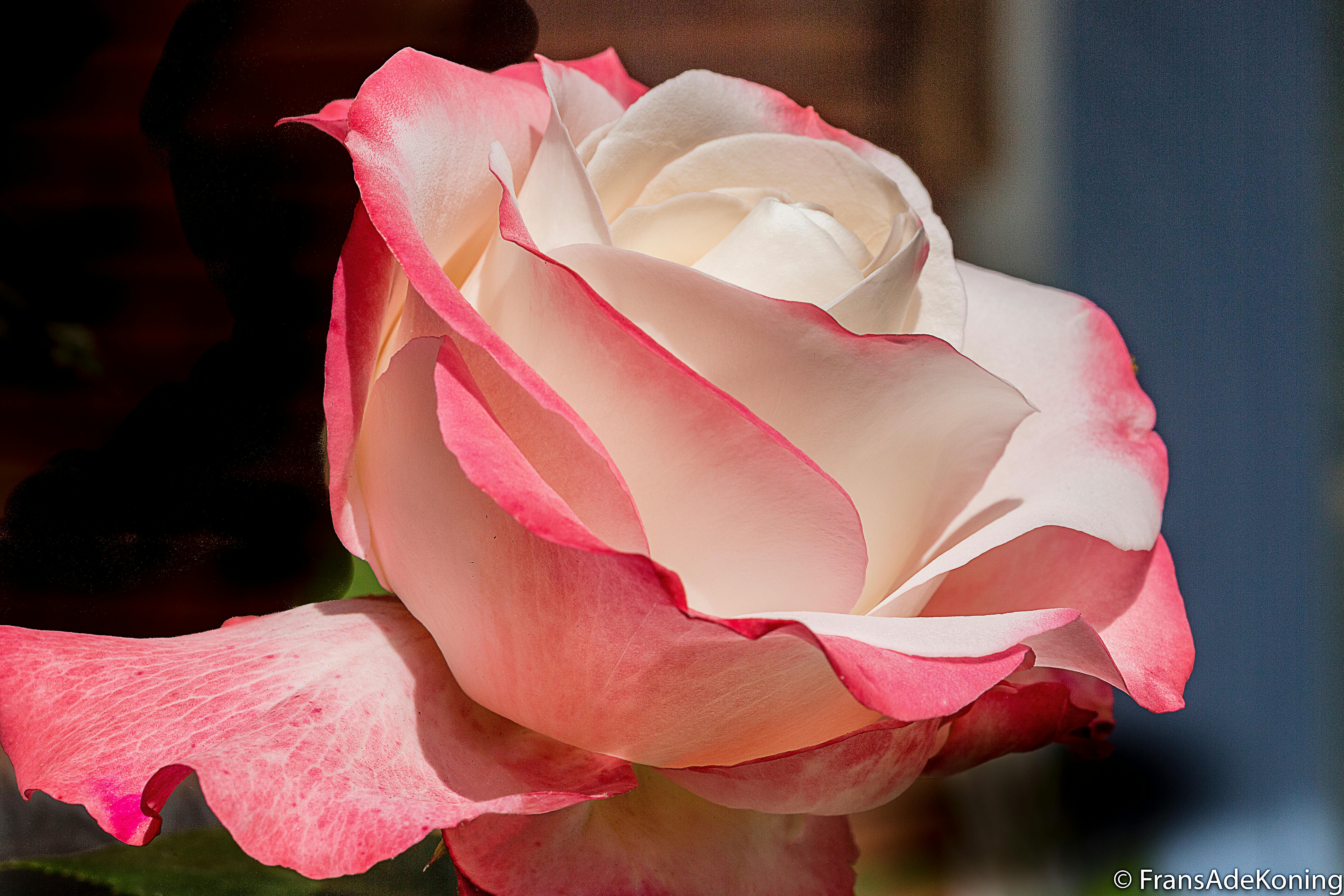 Data Aman, Bisnis Nyaman: HDC NeutraDC NXera Batam Raih Sertifikasi Tier 3 Kelas Dunia, Telkom Jamin Keamanan Data Anda!