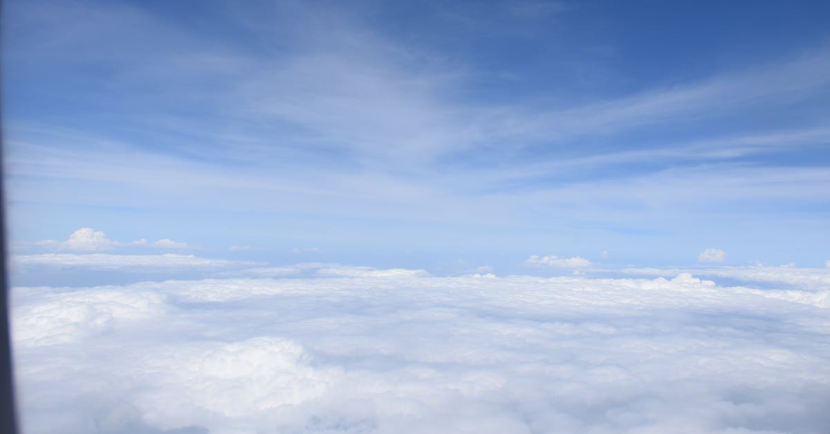 COP30: Pertarungan Hidup Mati untuk Bumi, Akankah Bahan Bakar Fosil Ditendang Keluar?