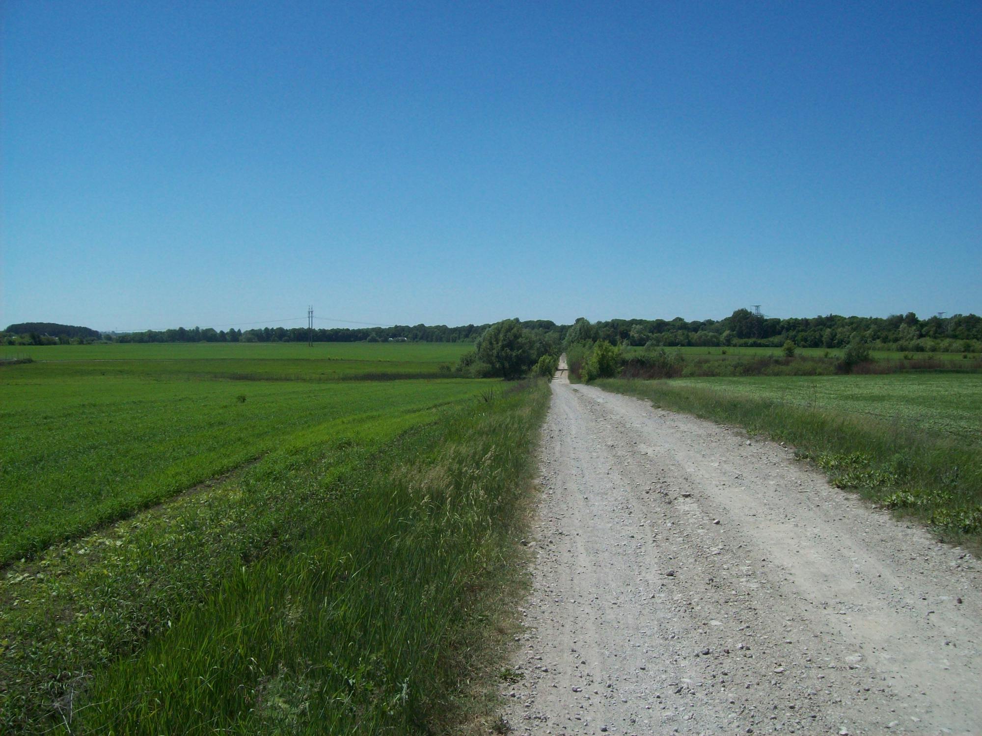 Revolusi Gaming Retro 4K Kembali! Analogue 3D Buka Pre-Order Lagi, Tapi Awas Ada "Jebakan" Menanti!