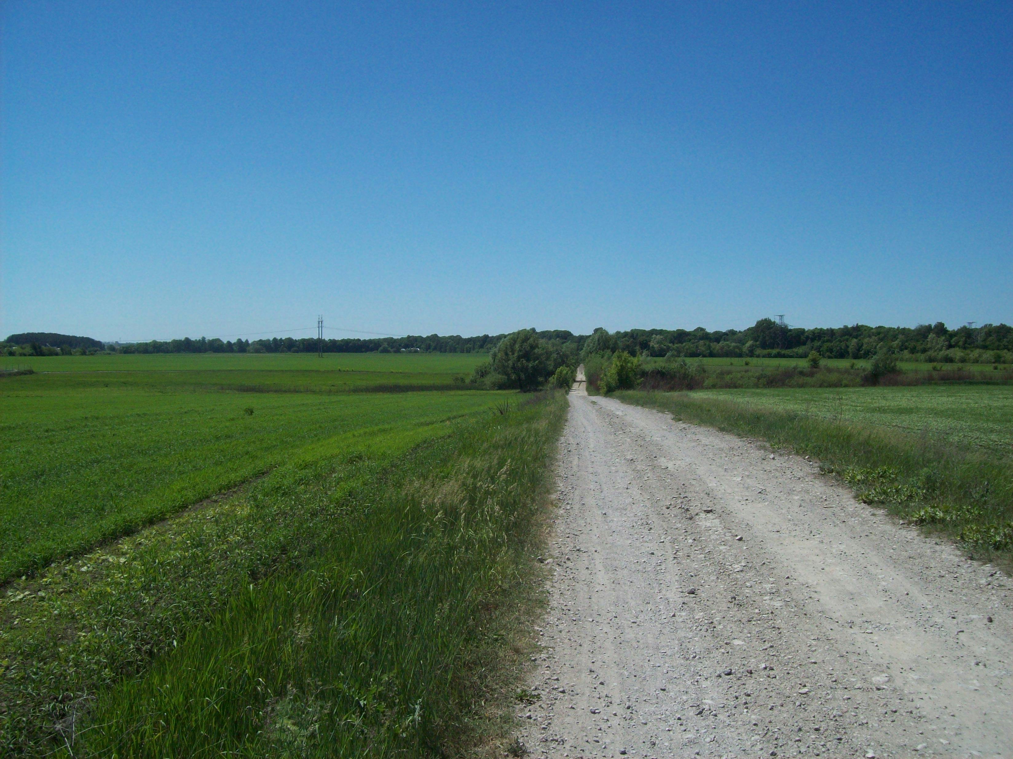 Pertarungan Sengit Utara-Selatan: Masa Depan Eurogroup di Persimpangan Jalan 2025
