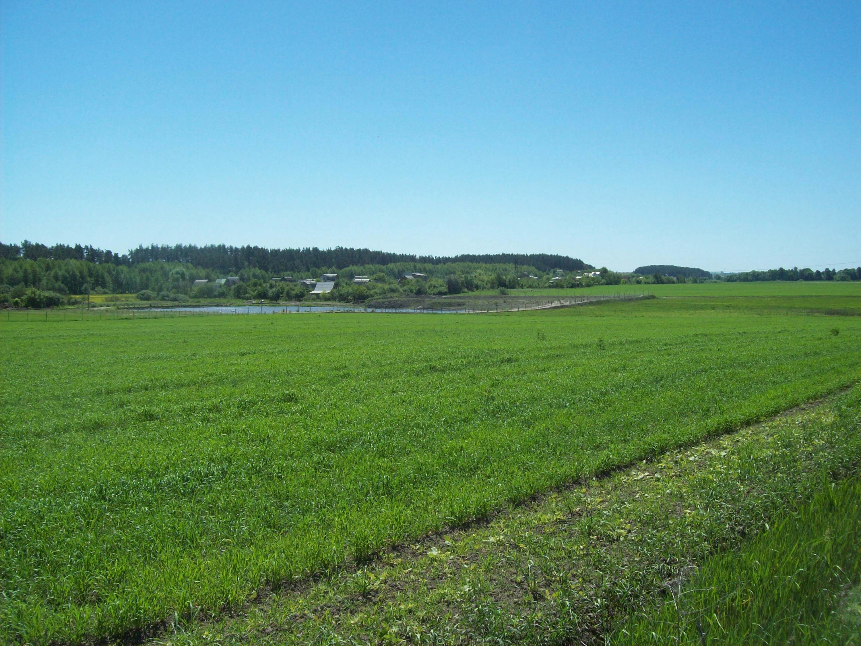 Terobosan Udara dan Air: Pesawat Amfibi BRIN-PTDI, Mengubah Wajah Konektivitas Nusantara!