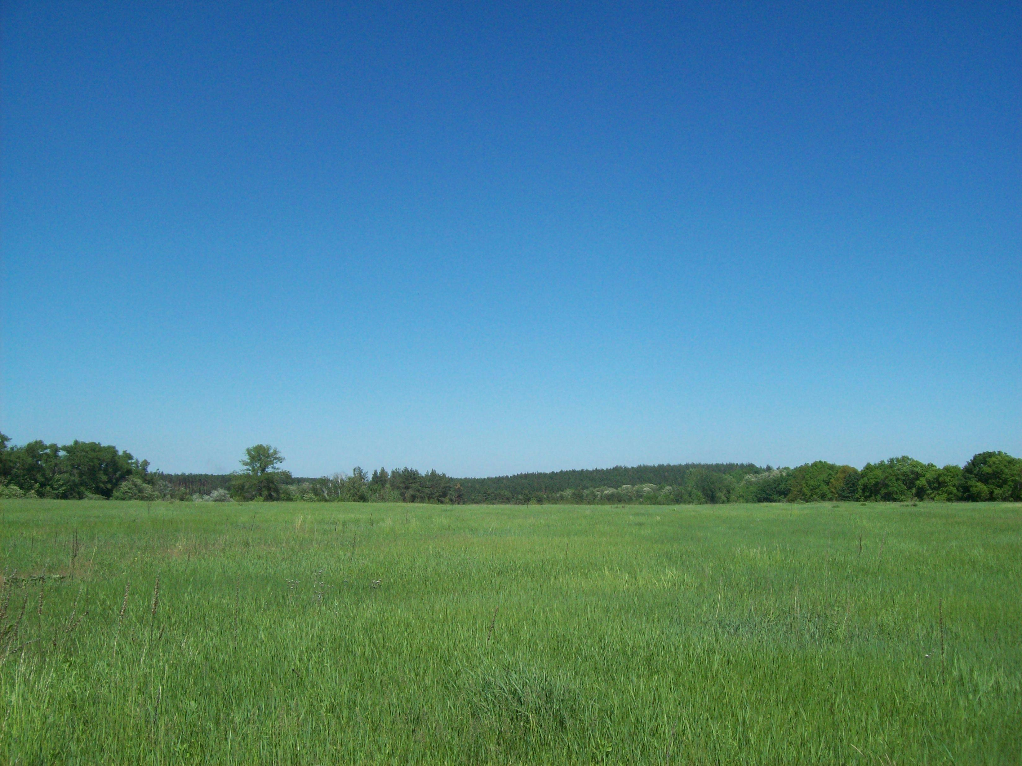 Terbang Lebih Mudah dan Cepat: Jember-Jakarta Kini Permanen, Gerbang Emas Konektivitas Terbuka Lebar!