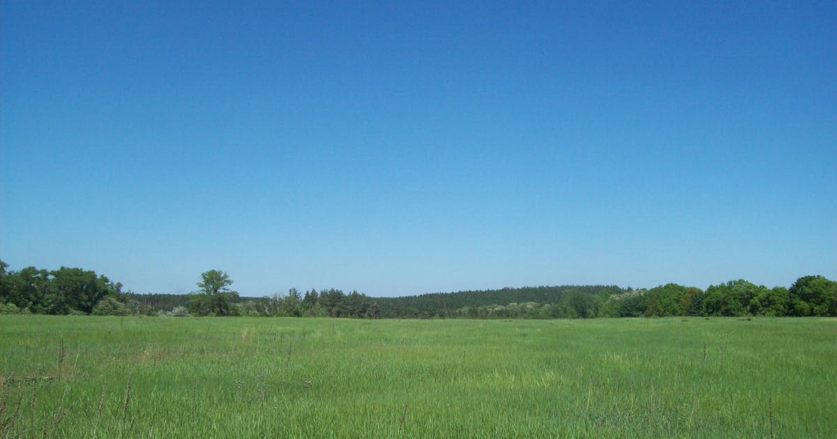 Badai Spekulasi Mengguncang Pasar: Tencent Jual Meituan, HSBC Ikut Melonjak?