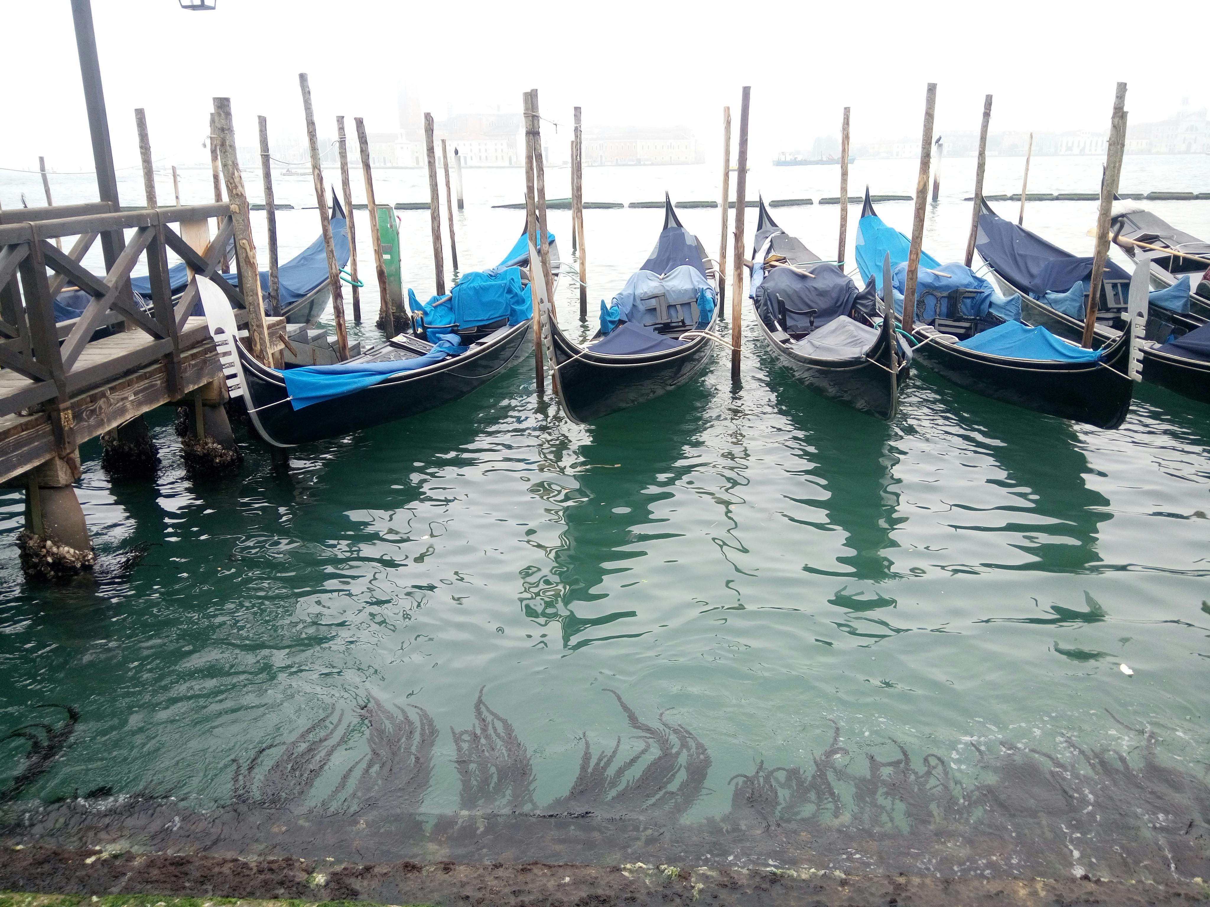 AI Pergi dari WhatsApp? Mengapa ChatGPT & Copilot Mengancam Tinggalkan Meta dan Apa Artinya Bagi Anda!