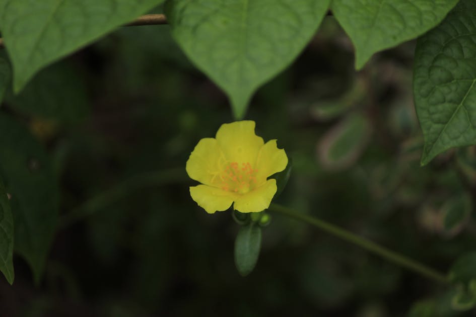 Prabowo Peringatkan Menteri: 'Gercep' Tangani Bencana, Sinyal Kuat Era Baru Respons Krisis!