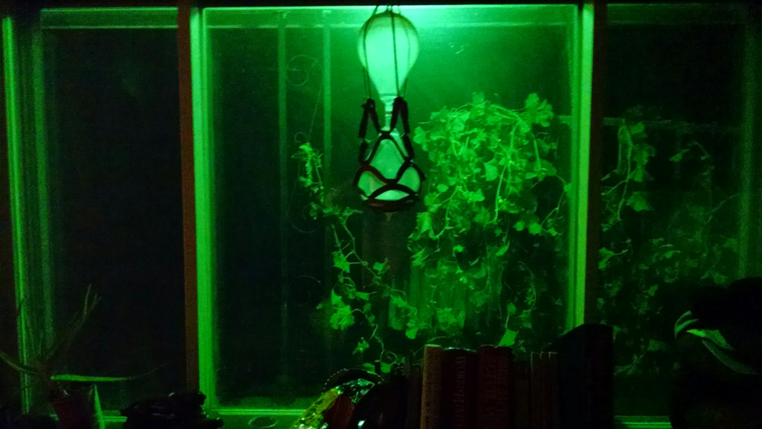 Drama Pemakzulan Bupati Pati Sudewo Batal: Sinyal Kuat Perbaikan Kinerja ataukah Manuver Politik Semata?