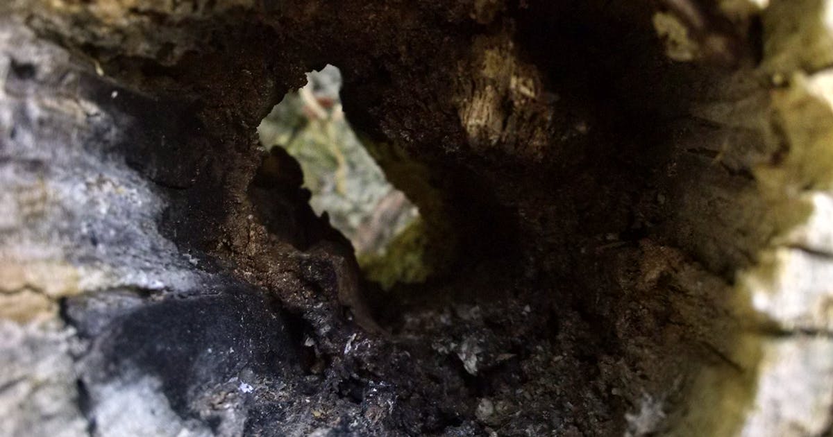 Terjebak Longsor di Tarutung: Kisah Dramatis Anggota DPR Masinton Pasaribu Berjalan Kaki Hampir Semalam Penuh!