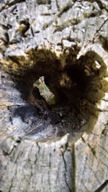 Badai di PBNU: Gus Yahya Ajak Islah, Benarkah Damai Akan Turun di Tubuh Nahdlatul Ulama?