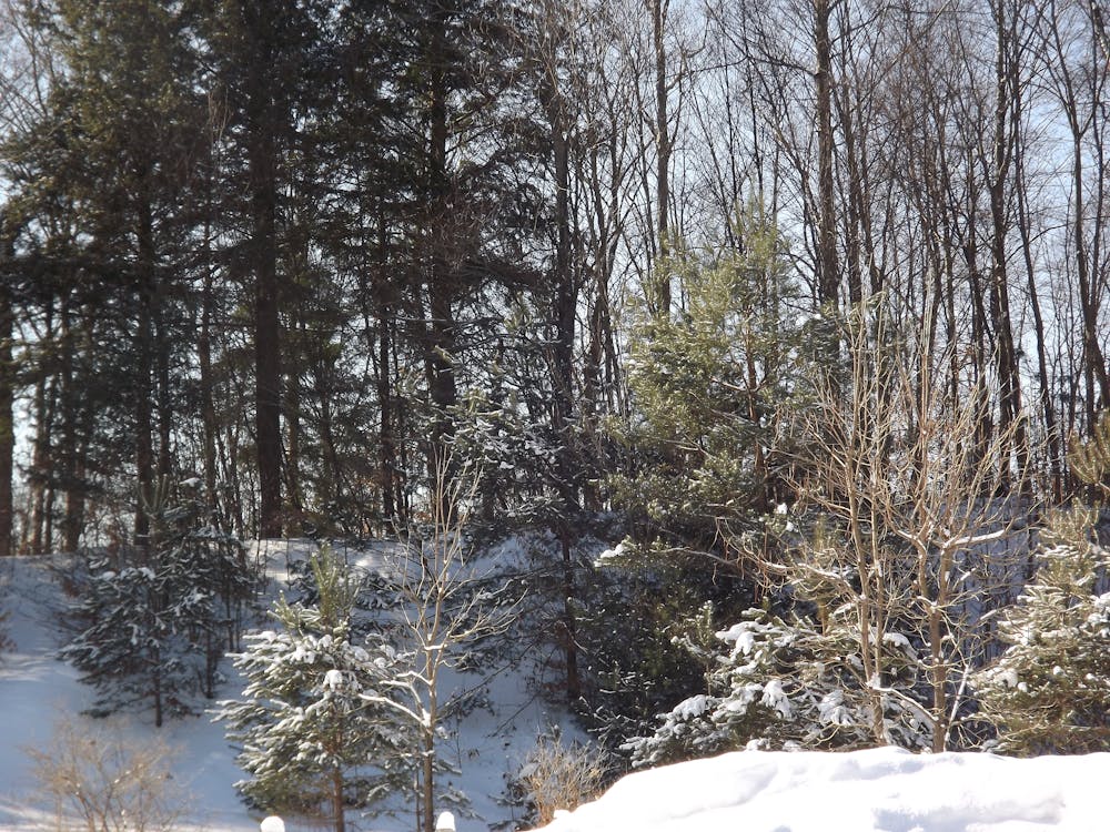 Indonesia Menuju Kemandirian Energi: Pertamina dan ESDM Merajut Masa Depan Berkelanjutan