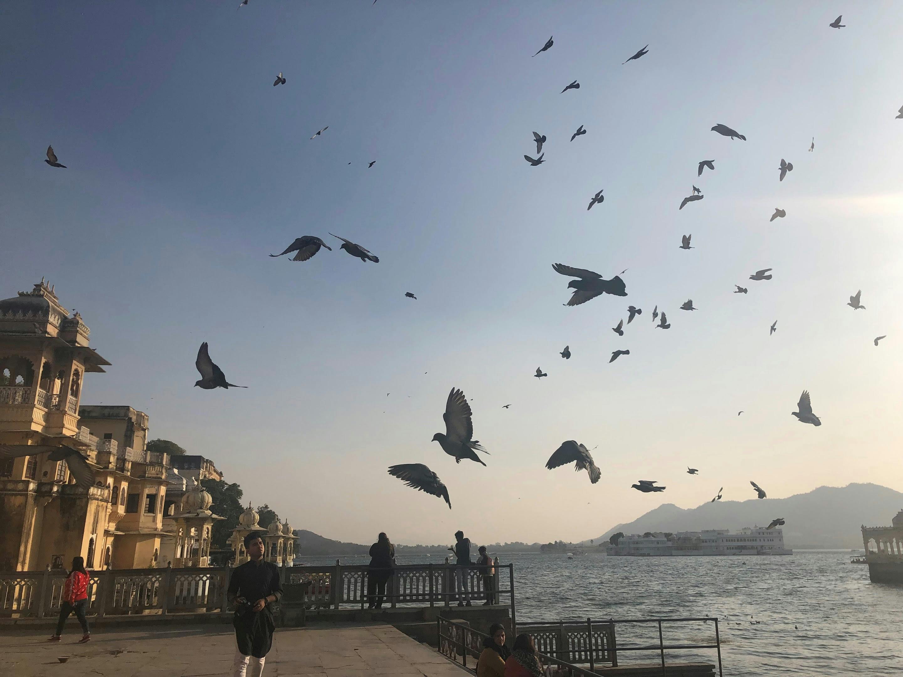 Plot Twist Ubisoft: Assassin's Creed Shadows Kini Hanya Akan Dapatkan Satu Ekspansi!