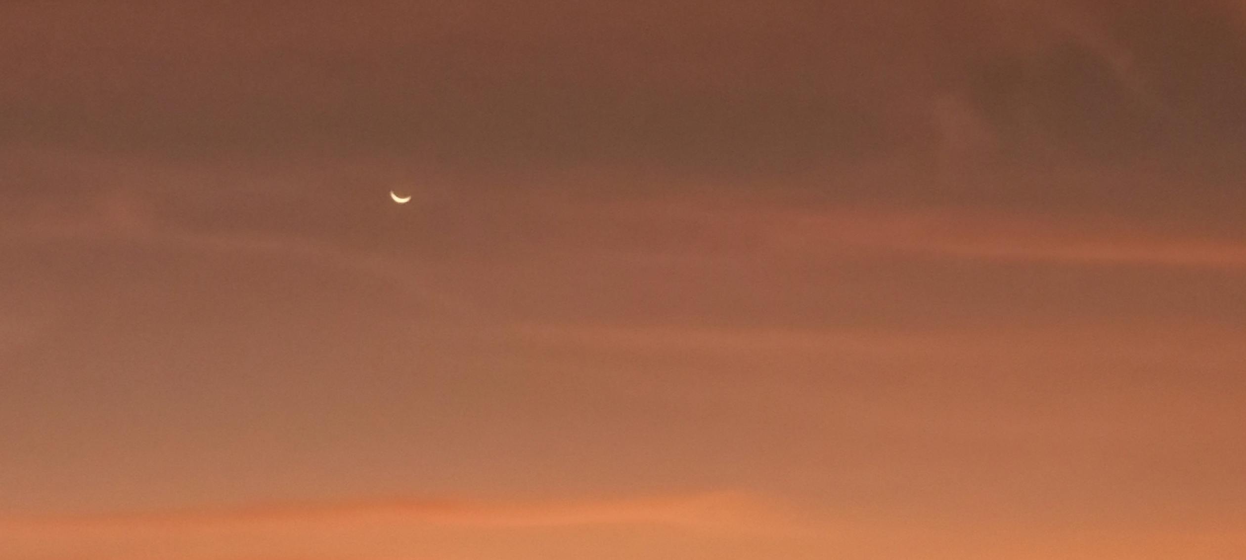 PS6 Bukan Lagi Konsol Tradisional? Mengungkap Masa Depan Gaming yang Lebih Mirip PC!