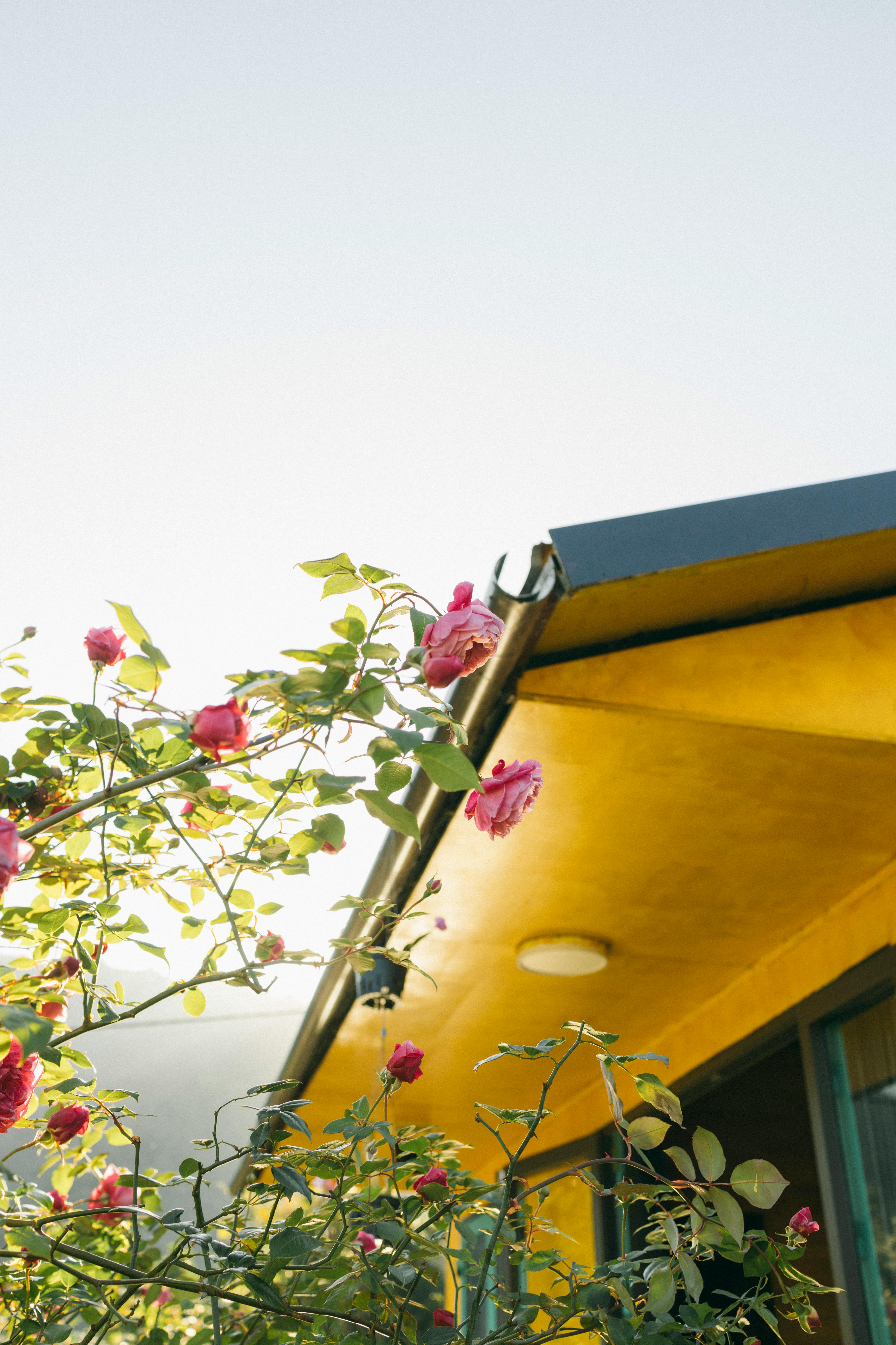 SIAP-SIAP! Warhammer Survivors Resmi Meluncur 2026: Ketika Dunia Fantasi Gelap Bertemu Genre Roguelite yang Adiktif!