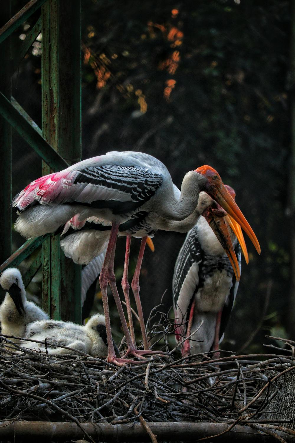 Geger! Bos Raksasa Investasi VanEck Ancam Tinggalkan Bitcoin Jika Kuantum Berkuasa – Masa Depan Kripto Terancam?