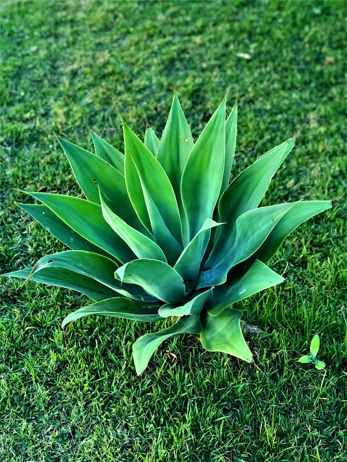 Revolusi Data: Sensus Ekonomi 2026 Indonesia Memasuki Era AI dan Tiga Moda Pendataan